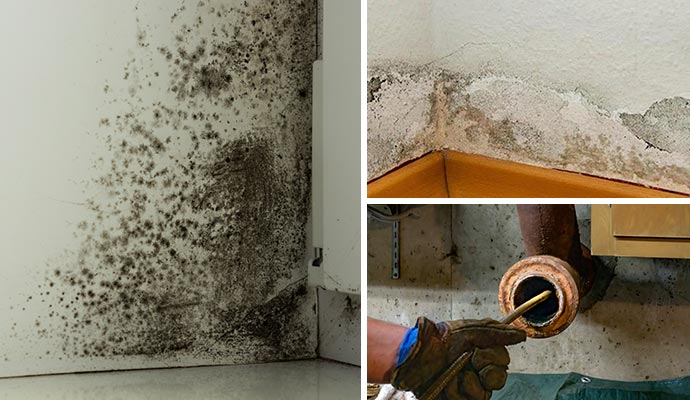 Collage of moldy wall, discolored wall and clogged drain Collage of moldy wall, discolored wall and clogged drain