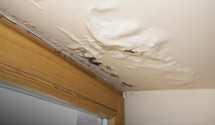 Ceiling Water Damage Restoration in Edison & Bridgewater