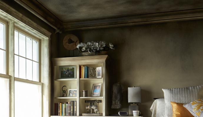 Fire and smoke damage property