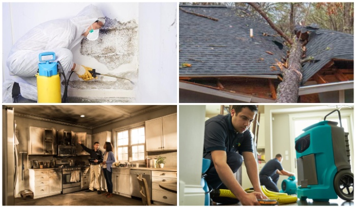 Collage of mold remediation, storm damaged house, fire and water restoration service