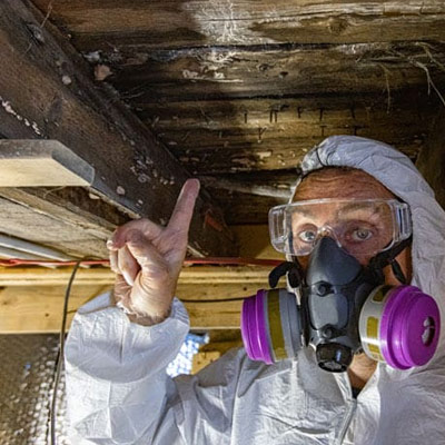 Mold Remediation