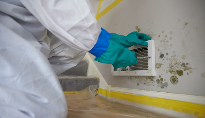 growing groblem of mold