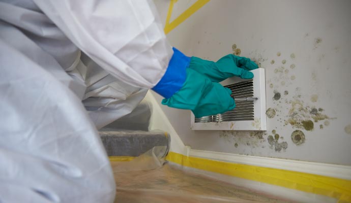 HVAC mold remediation