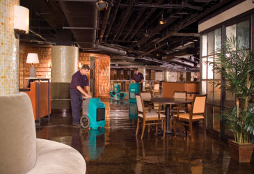 Water Damaged Classification in Edison & Bridgewater