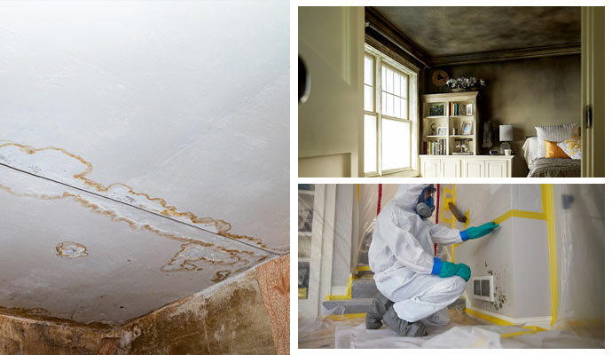 Addressing plumbing leak, mold remediation, and smoke stain removal.