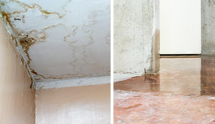 Mold water damage and plumbing leak
