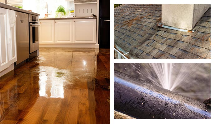 Plumbing leaks in the roof and burst pipes causing water damage.