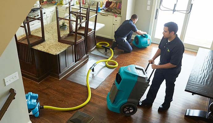 Professional worker restoring water damage