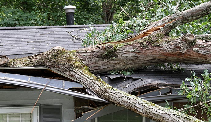 roof damaged house