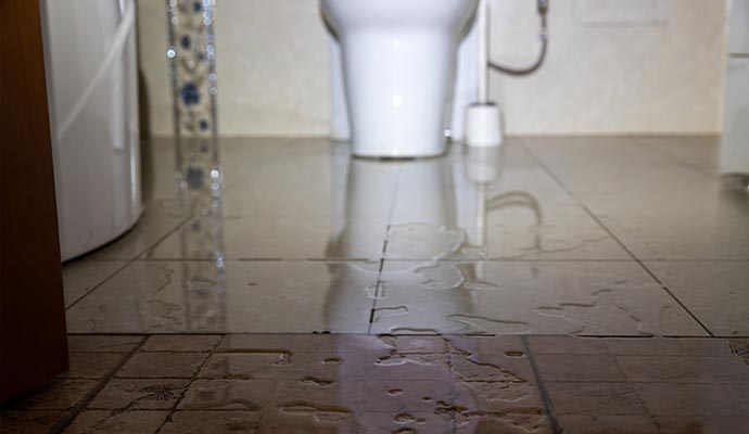 Professional sewage cleanup