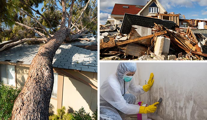 A collage storm damaged house and mold on wall property damage