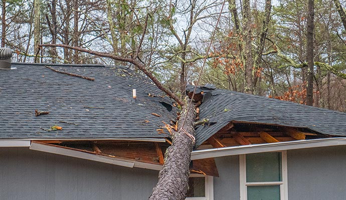 Storm Damage Restoration Service in Edison & Bridgewater