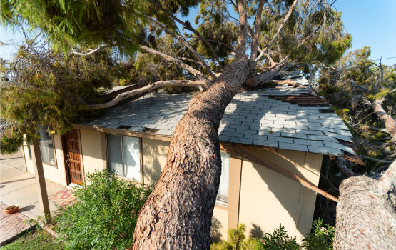 Storm damaged roof