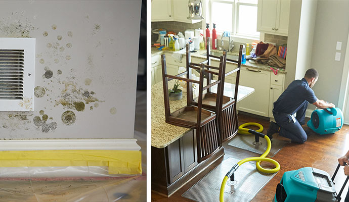 water and mold damage restoration service in Clinton
