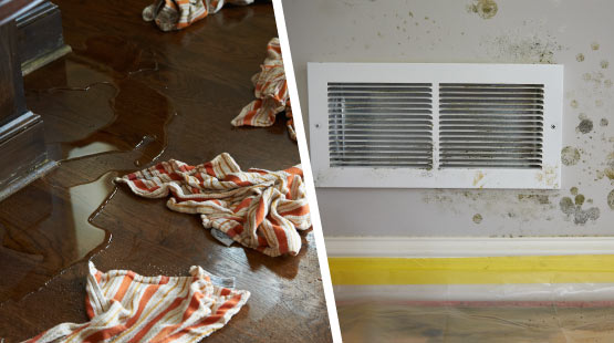 water and mold damaged property