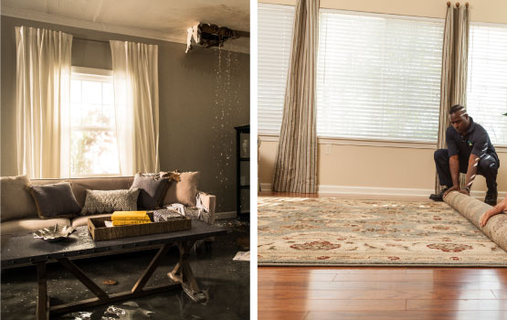 Water Damaged Furniture and rug