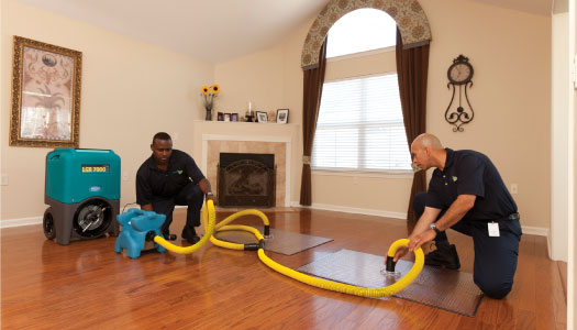 Servicemaster professionals performing restoration with equipments