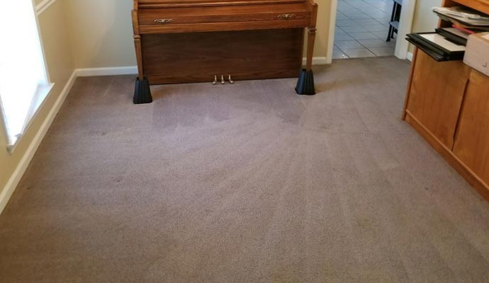 Carpet Odor Removal in Edison, Bridgewater, & East Brunswick