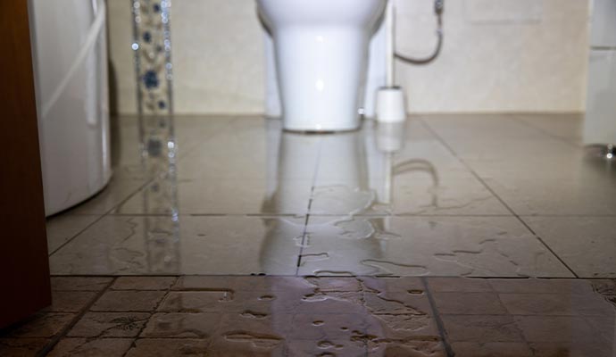 Toilet overflow