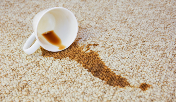 Carpet Stain Removal in Edison & East Brunswick