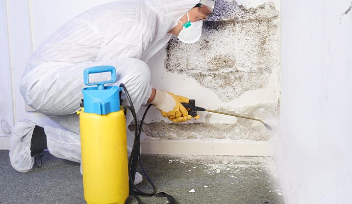 Worker is removing mold from the wall