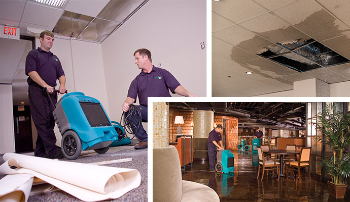 worker water damage restoration in hillside